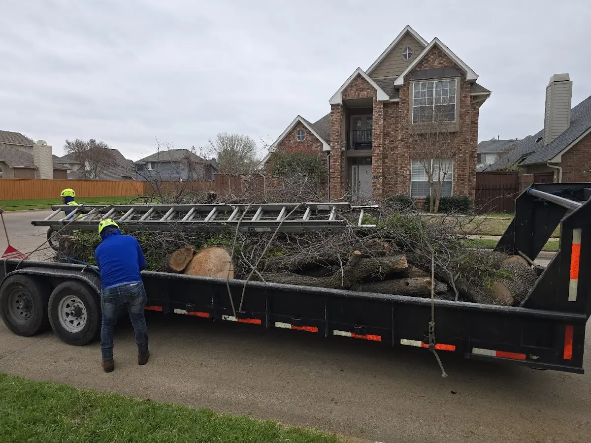 Expert Lot Clearing with proper safety equipment in Oak Brook